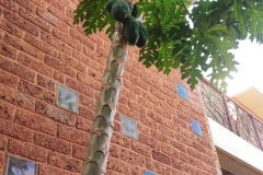 B.121